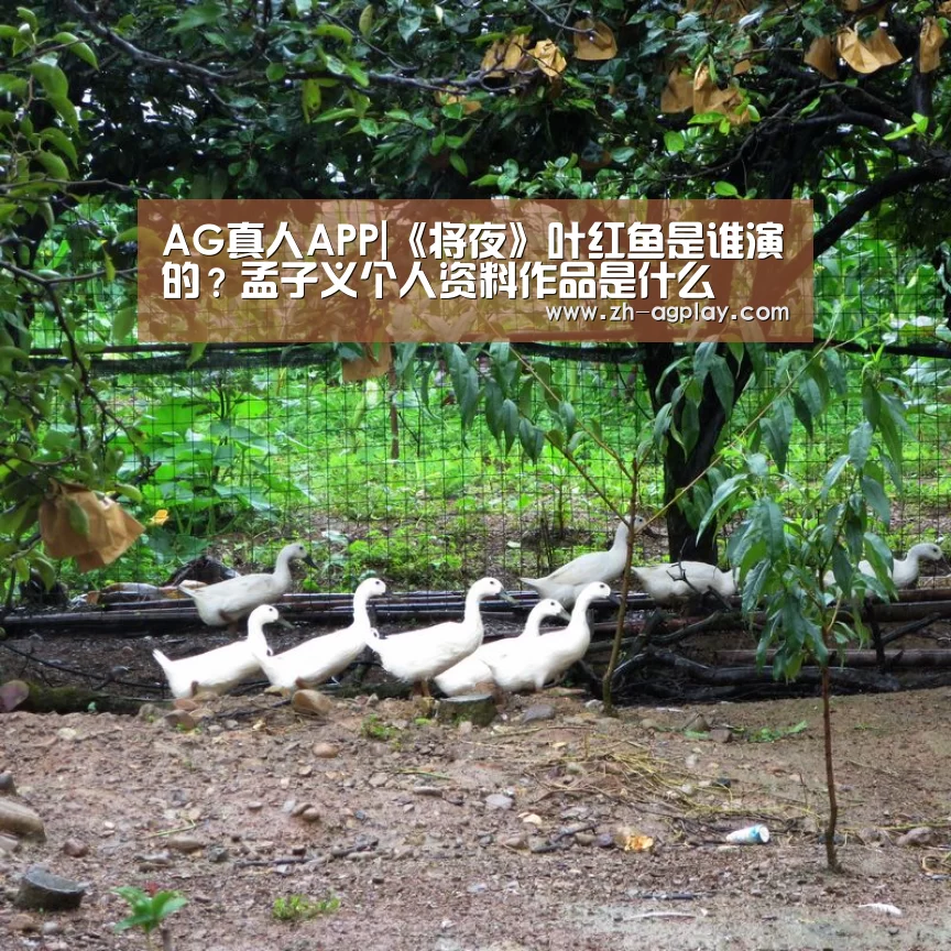 AG真人APP|《将夜》叶红鱼是谁演的?孟子义个人资料作品是什么(图2) AG真人官方下载