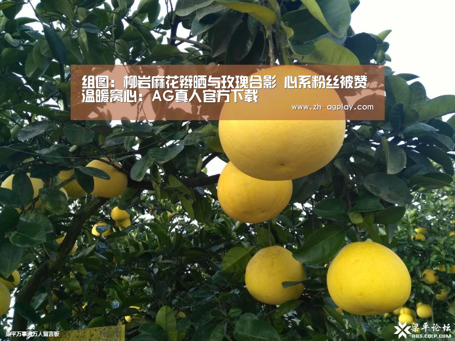 组图:柳岩麻花辫晒与玫瑰合影 心系粉丝被赞温暖窝心:AG真人官方下载(图3) AG真人官方下载